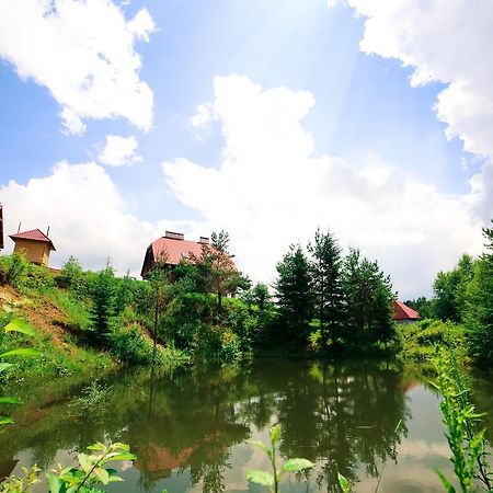 Skhidnytsia Villa Buhiv מראה חיצוני תמונה